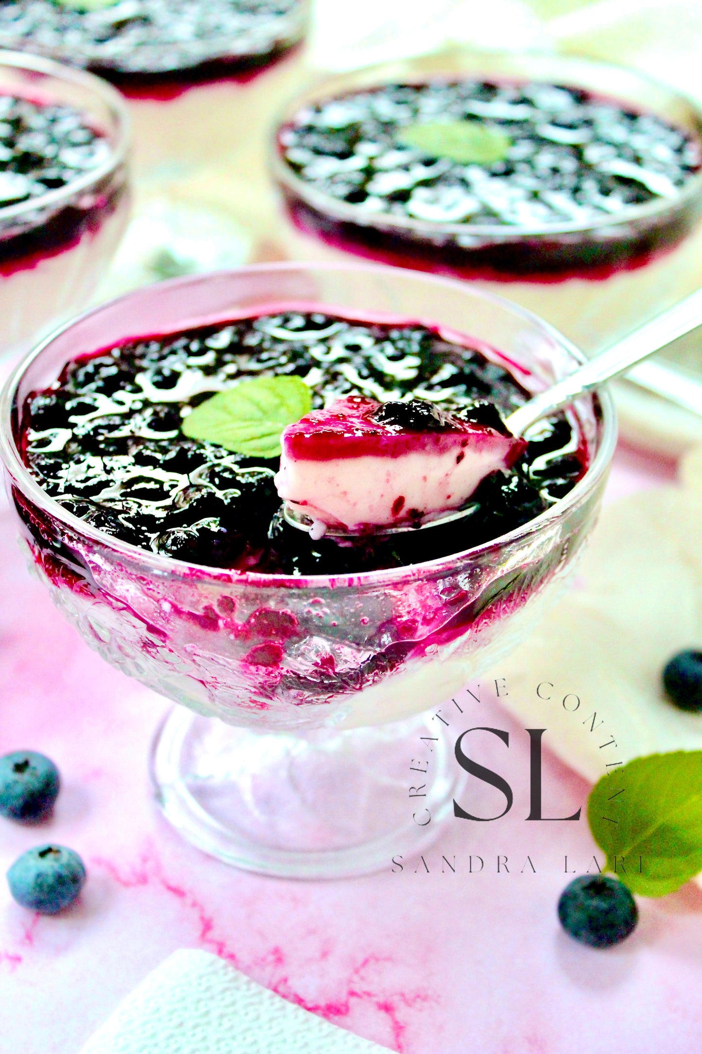 Healthy Blueberry Pudding Dessert - Exclusive