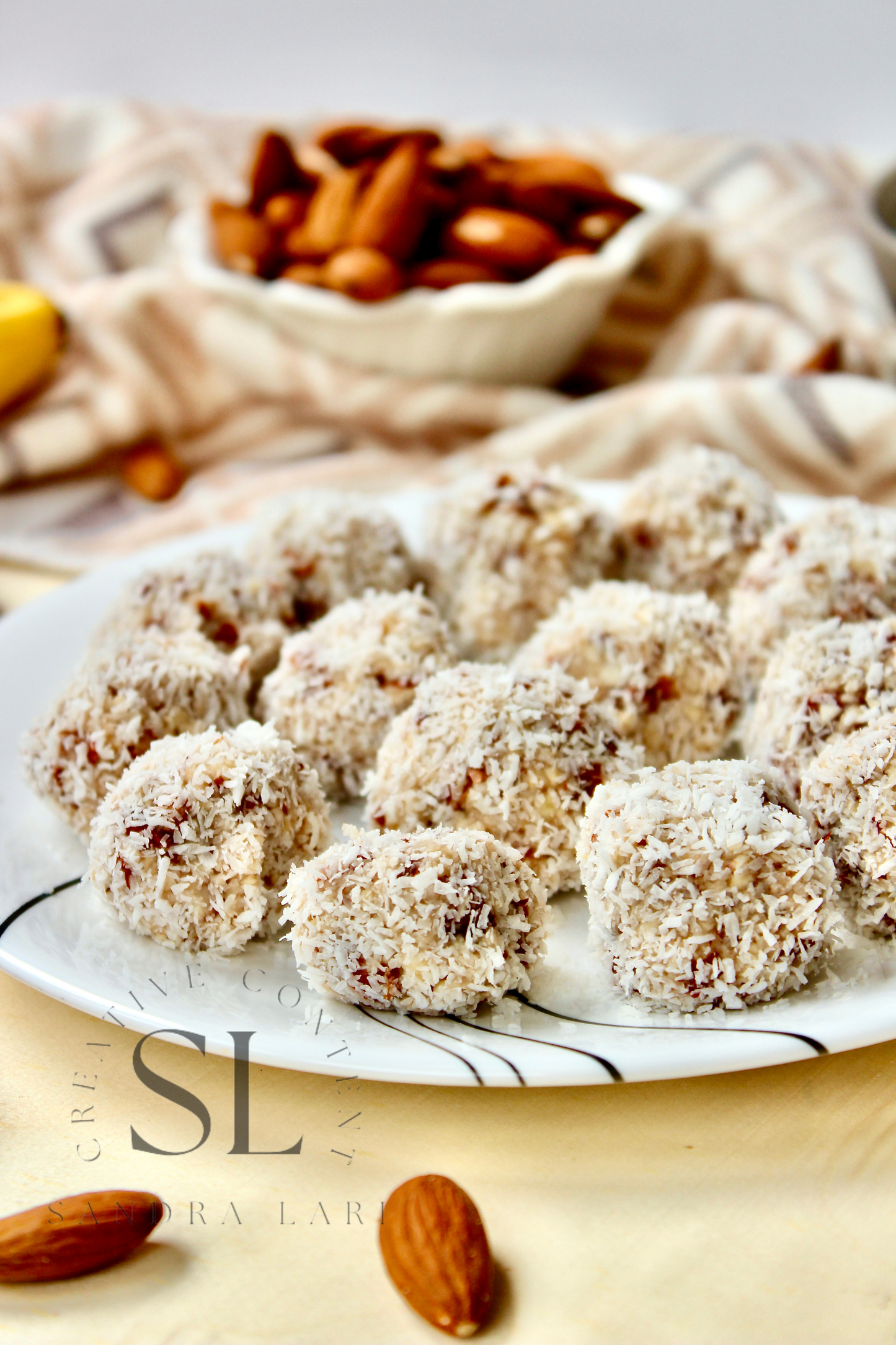 Healthy Raw Coconut Almond Bites - Set 1 of 3