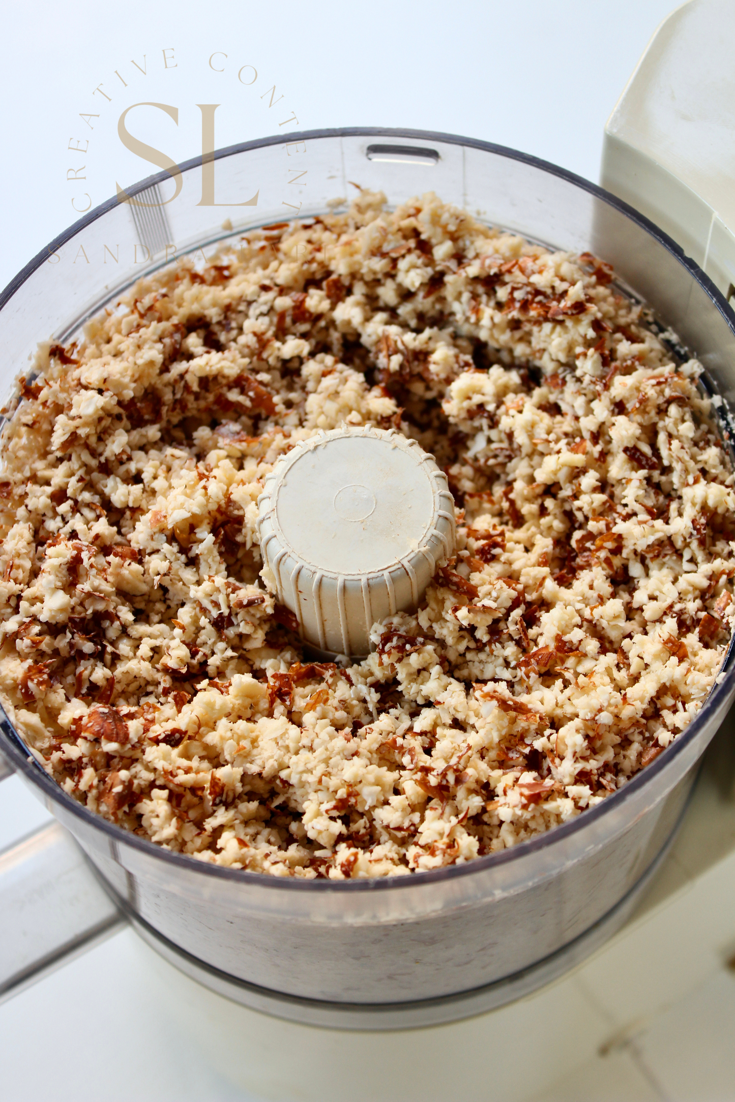 Healthy Raw Coconut Almond Bites - Set 2 of 3