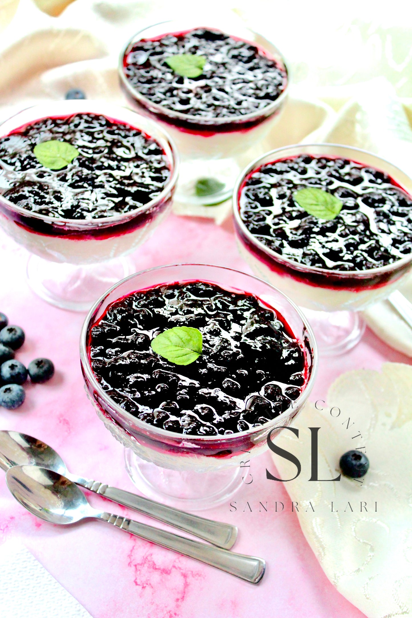 Healthy Blueberry Pudding Dessert - Exclusive