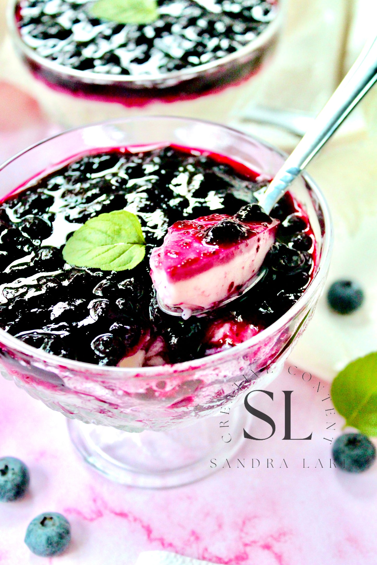 Healthy Blueberry Pudding Dessert - Exclusive