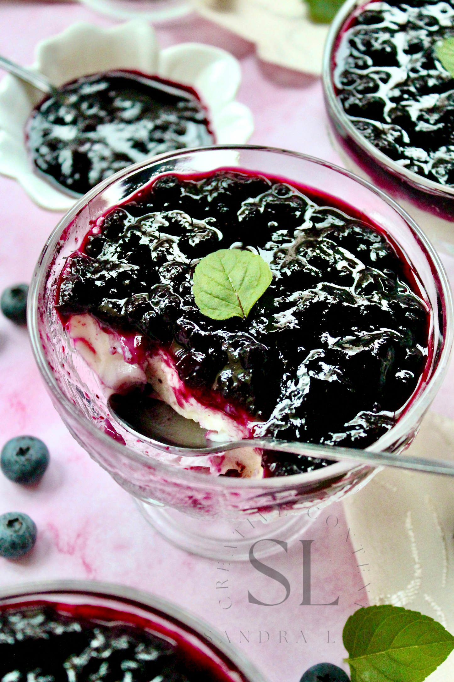 Healthy Blueberry Pudding Dessert - Exclusive