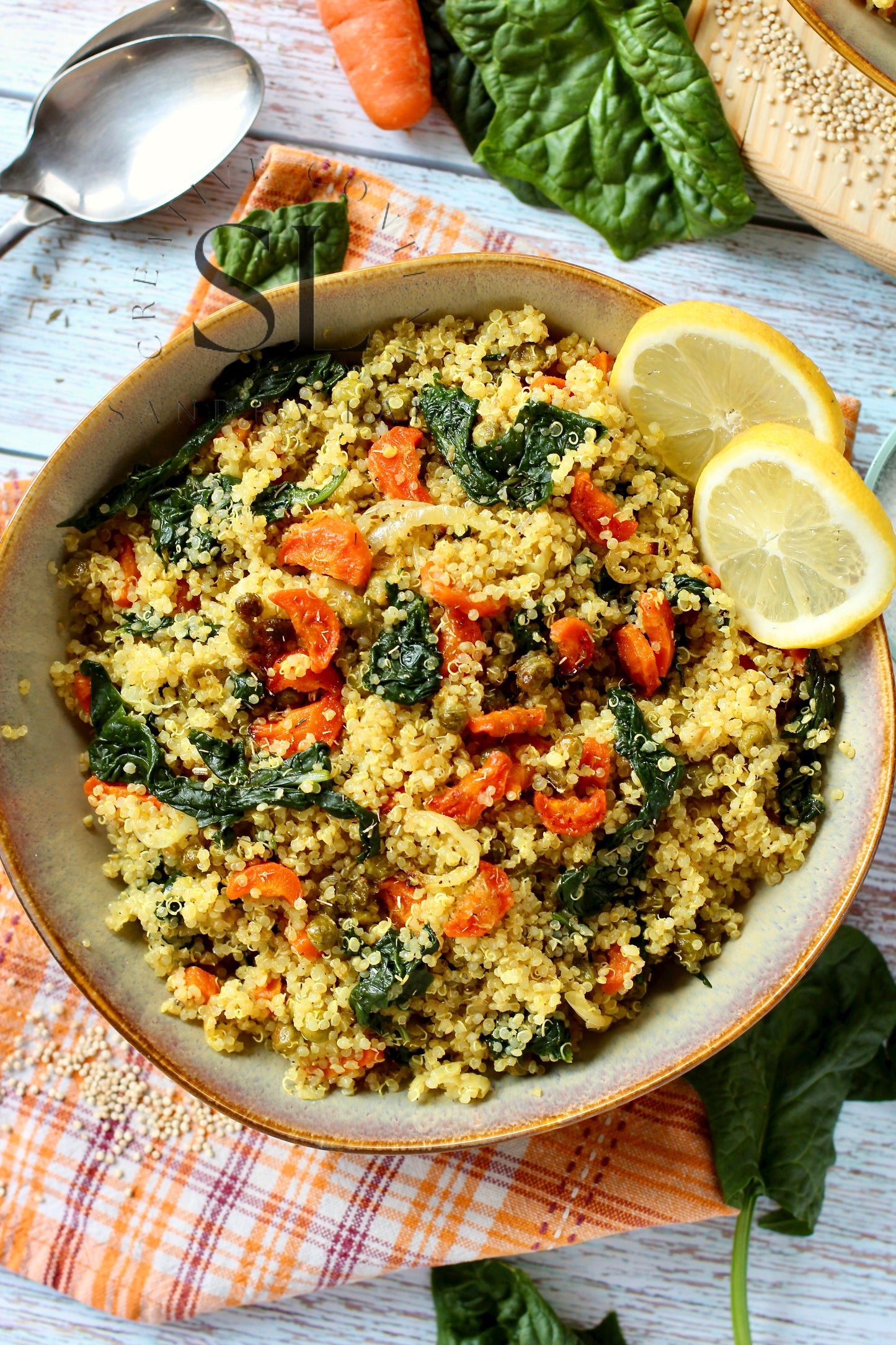 Vegan Roasted Veggies Quinoa Salad with Spinach - Set 2 of 3