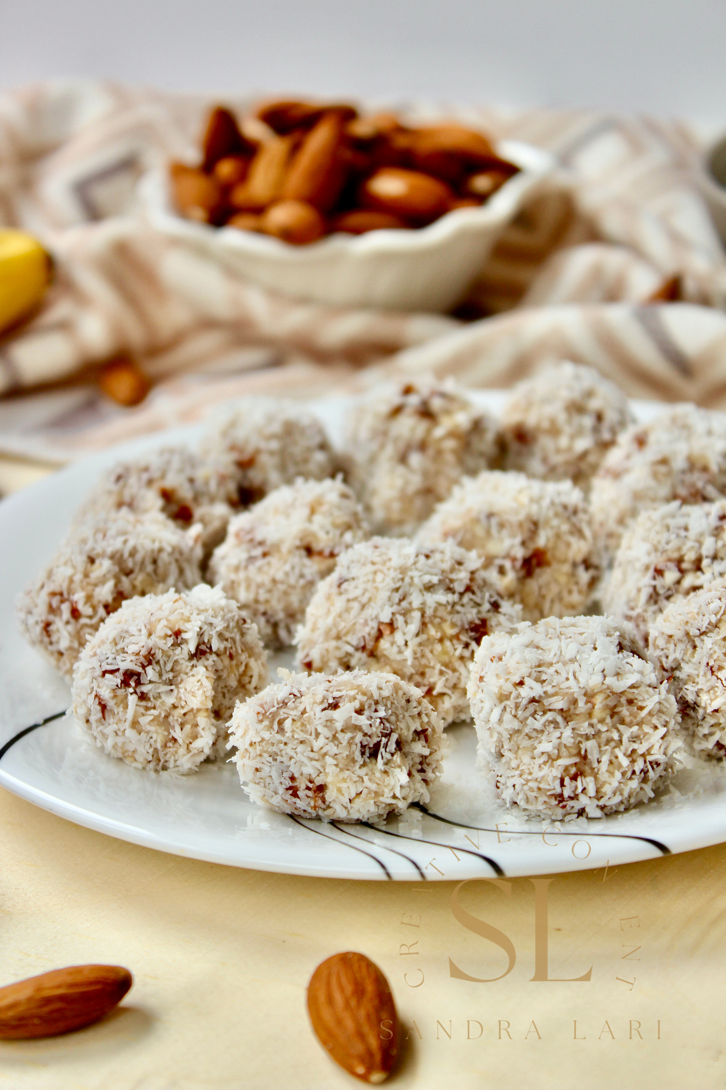 Healthy Raw Coconut Almond Bites - Set 1 of 3