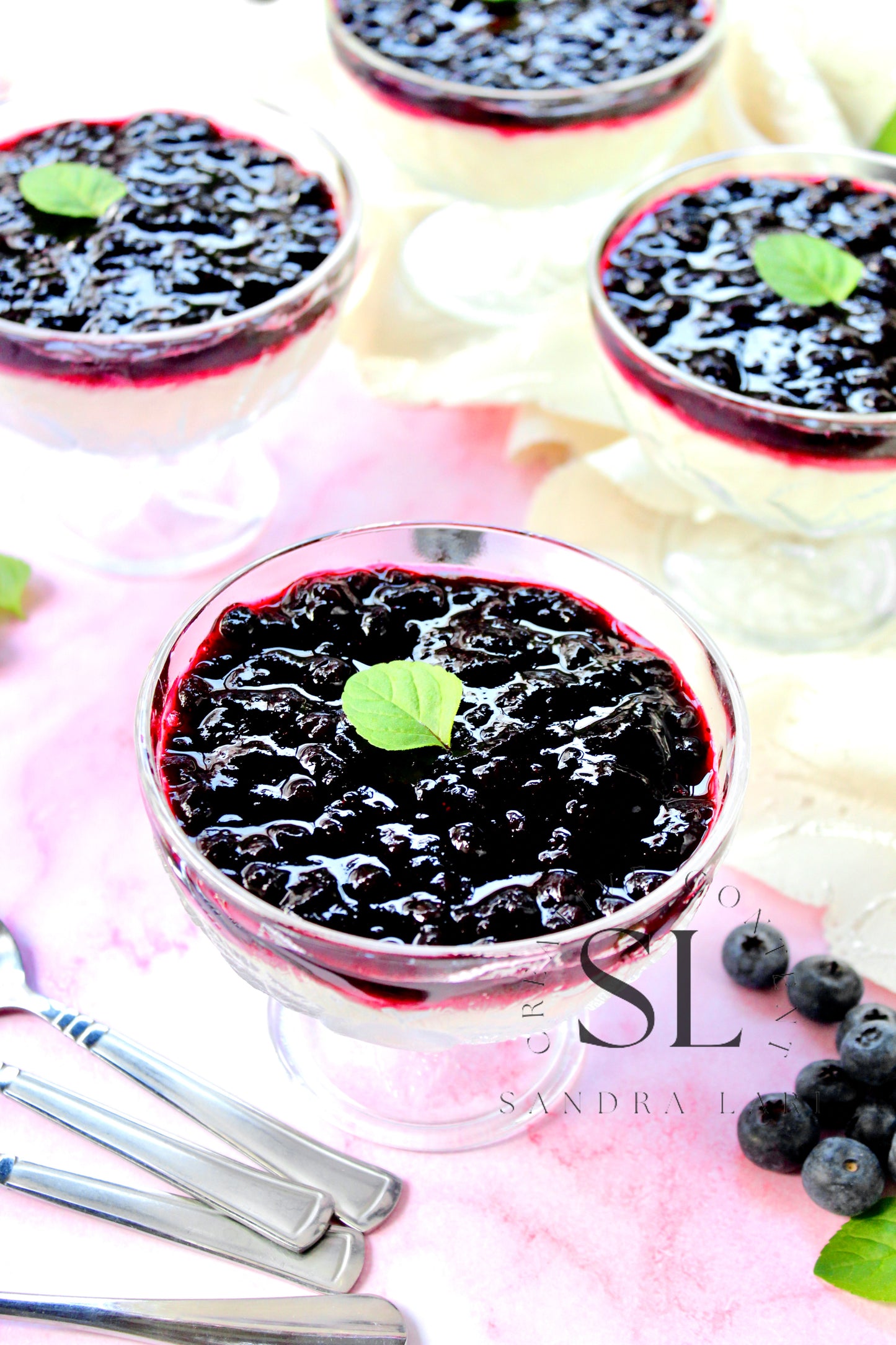 Healthy Blueberry Pudding Dessert - Exclusive