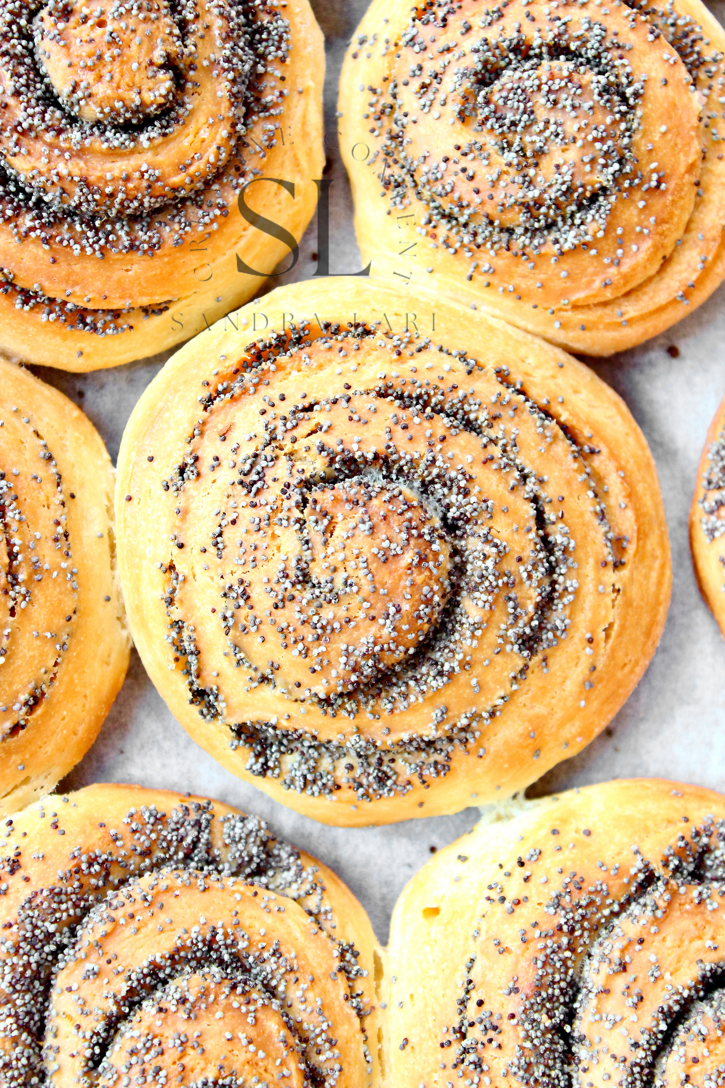Poppy Seed Rolls with Mother Yeast - Set 1 of 3