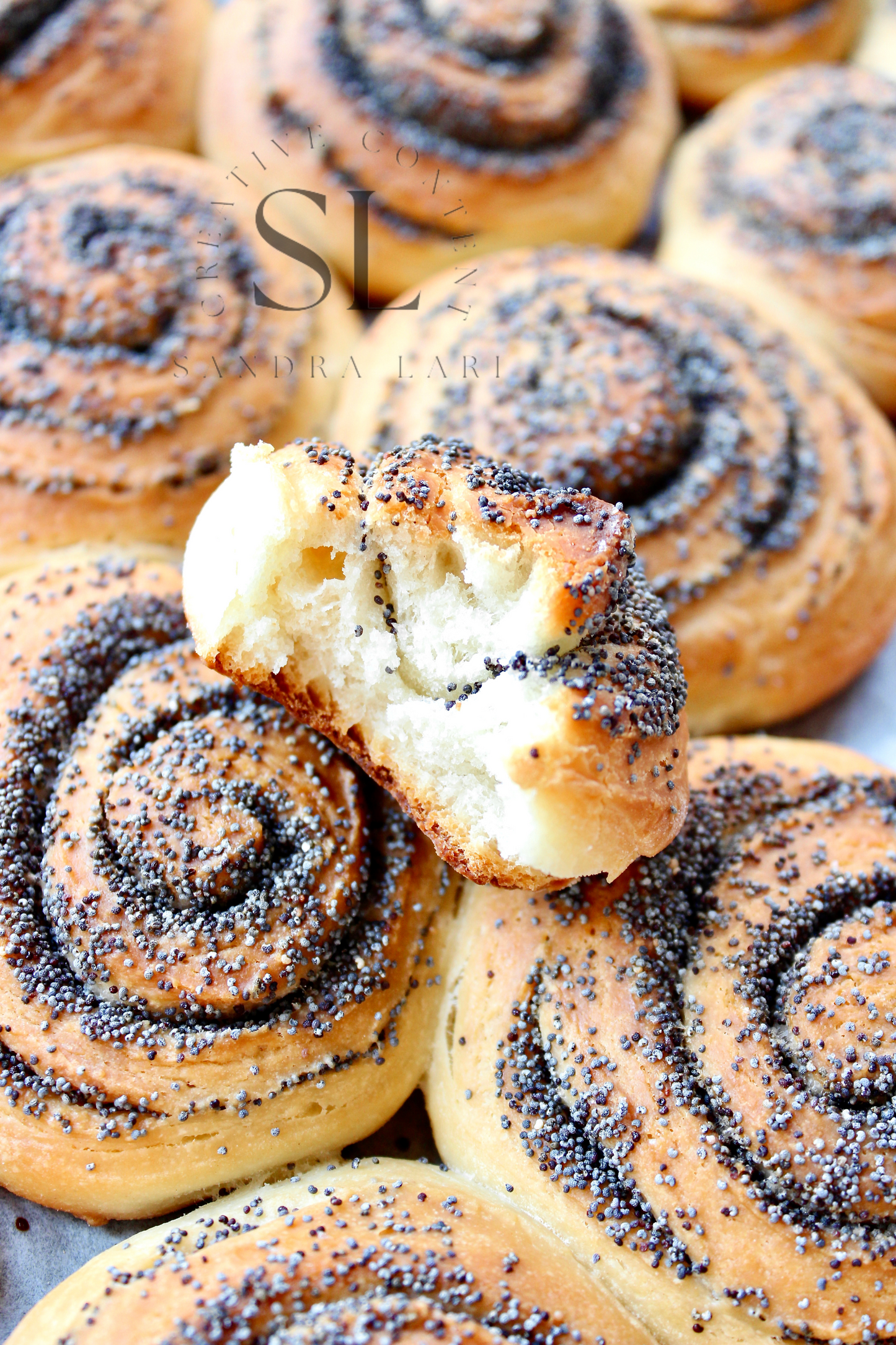 Poppy Seed Rolls with Mother Yeast - Set 1 of 3
