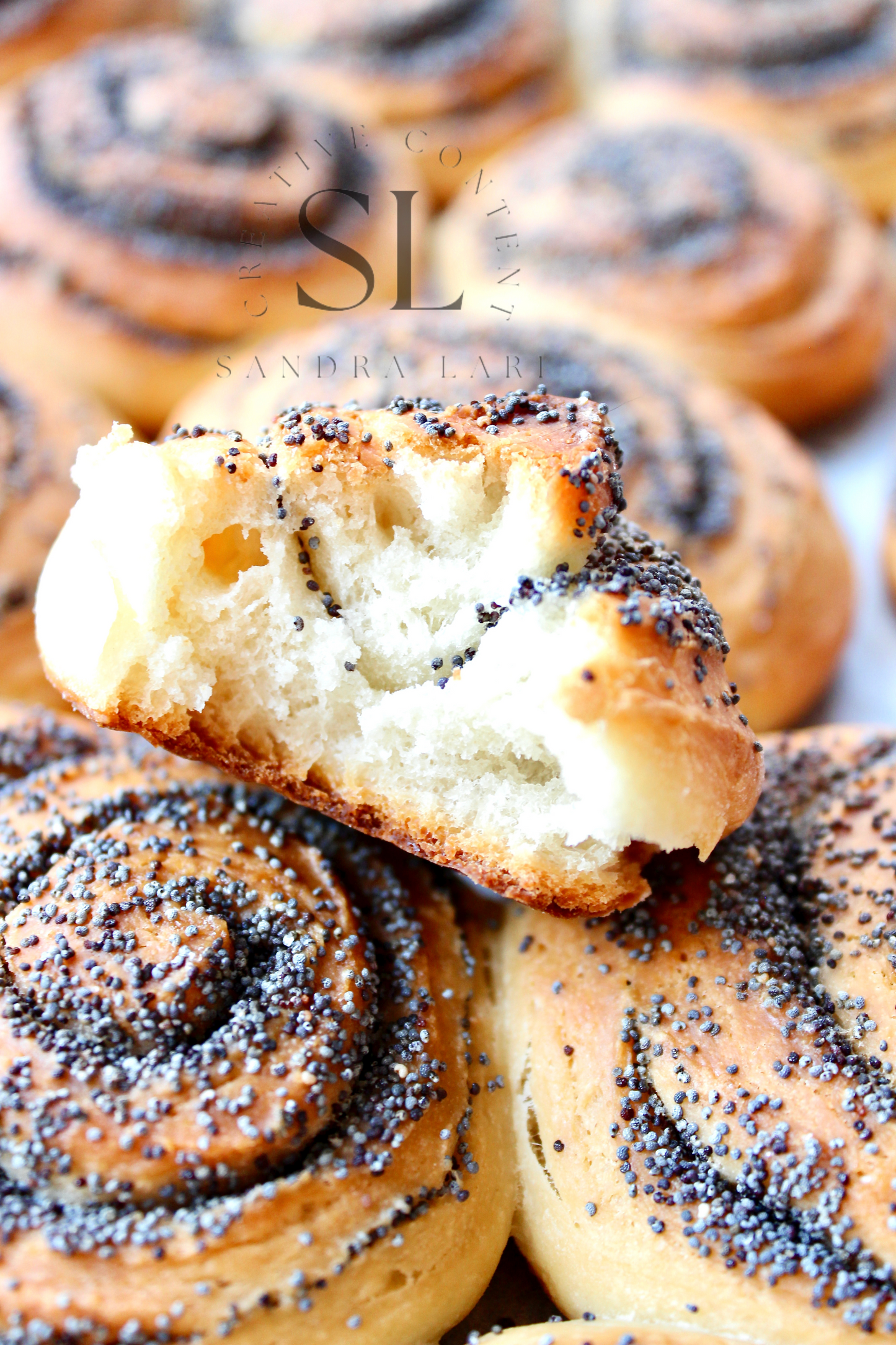 Poppy Seed Rolls with Mother Yeast - Set 3 of 3