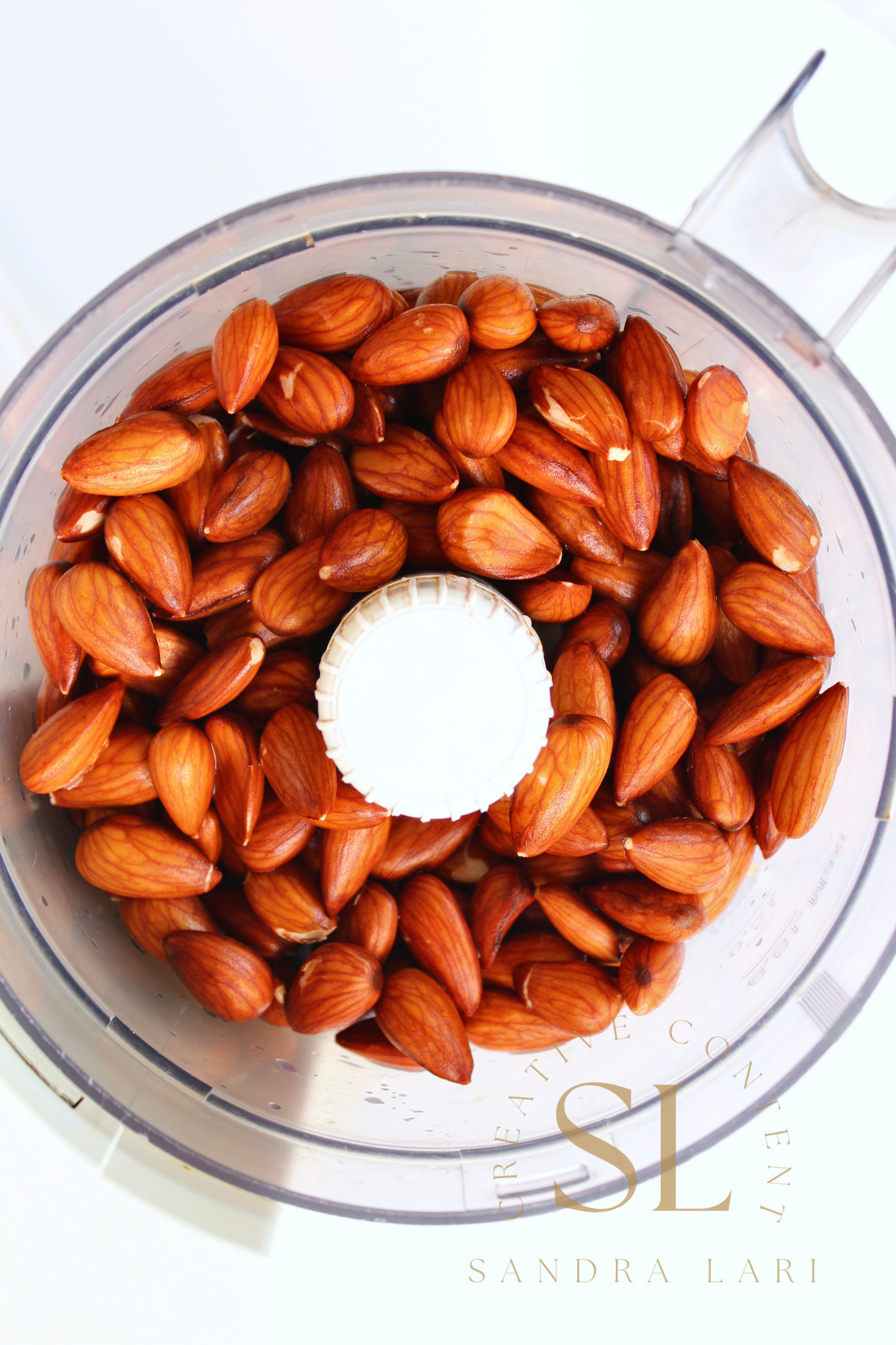 Healthy Raw Coconut Almond Bites - Set 2 of 3