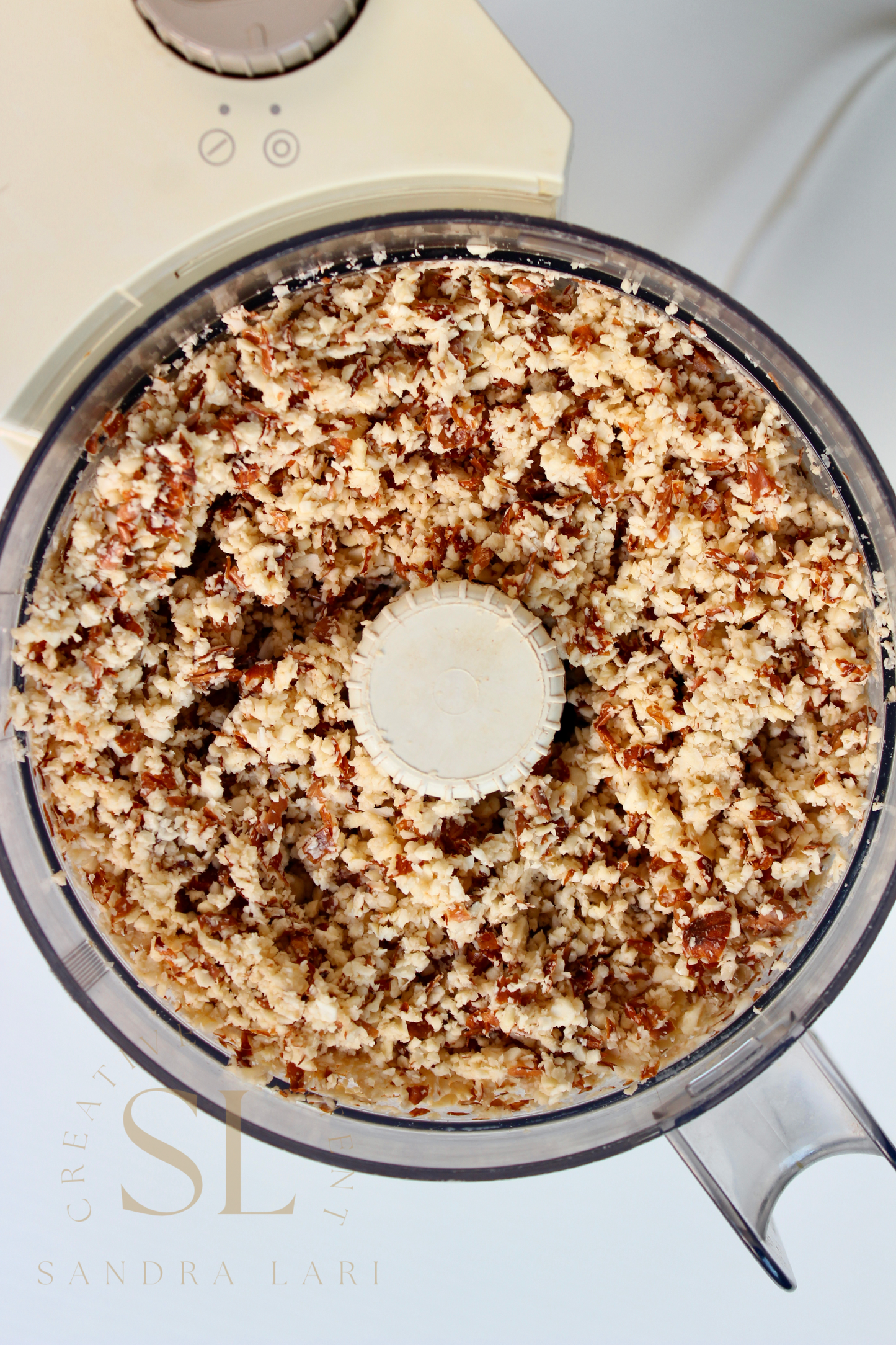 Healthy Raw Coconut Almond Bites - Set 2 of 3