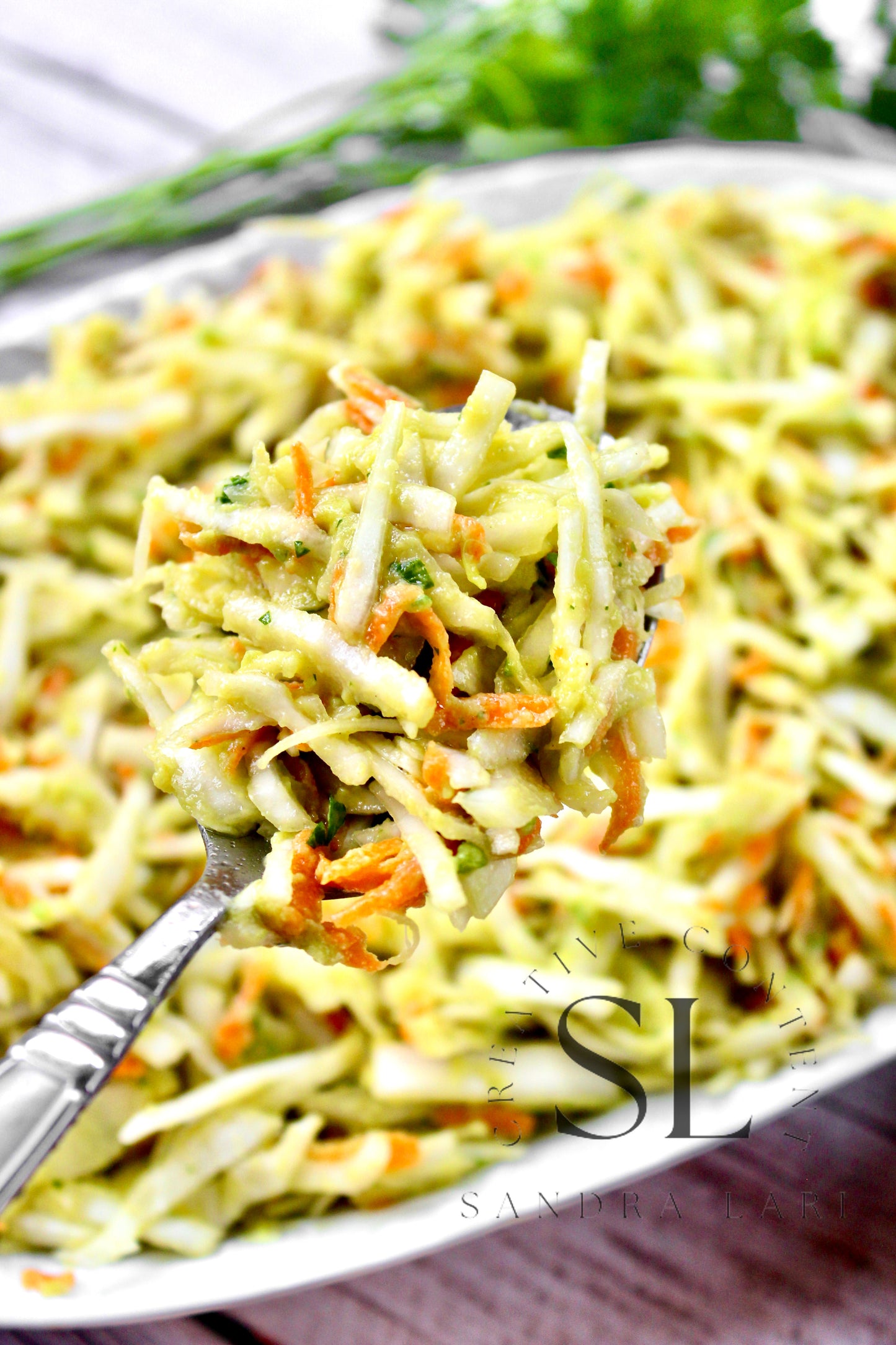 Creamy Avocado & Garlic Coleslaw - Set 1 of 4
