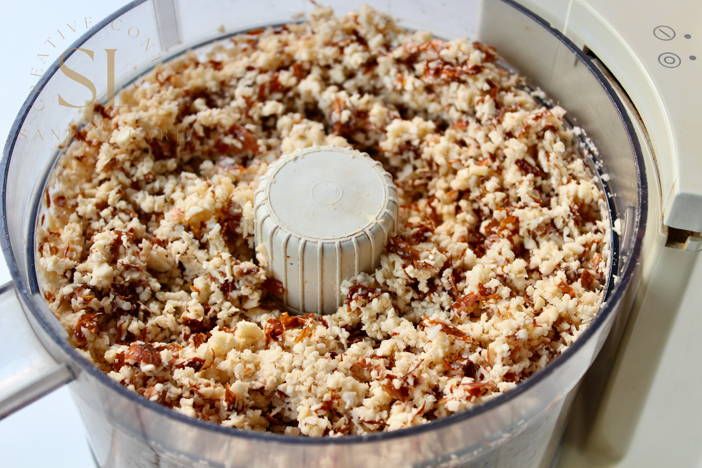 Healthy Raw Coconut Almond Bites - Set 2 of 3