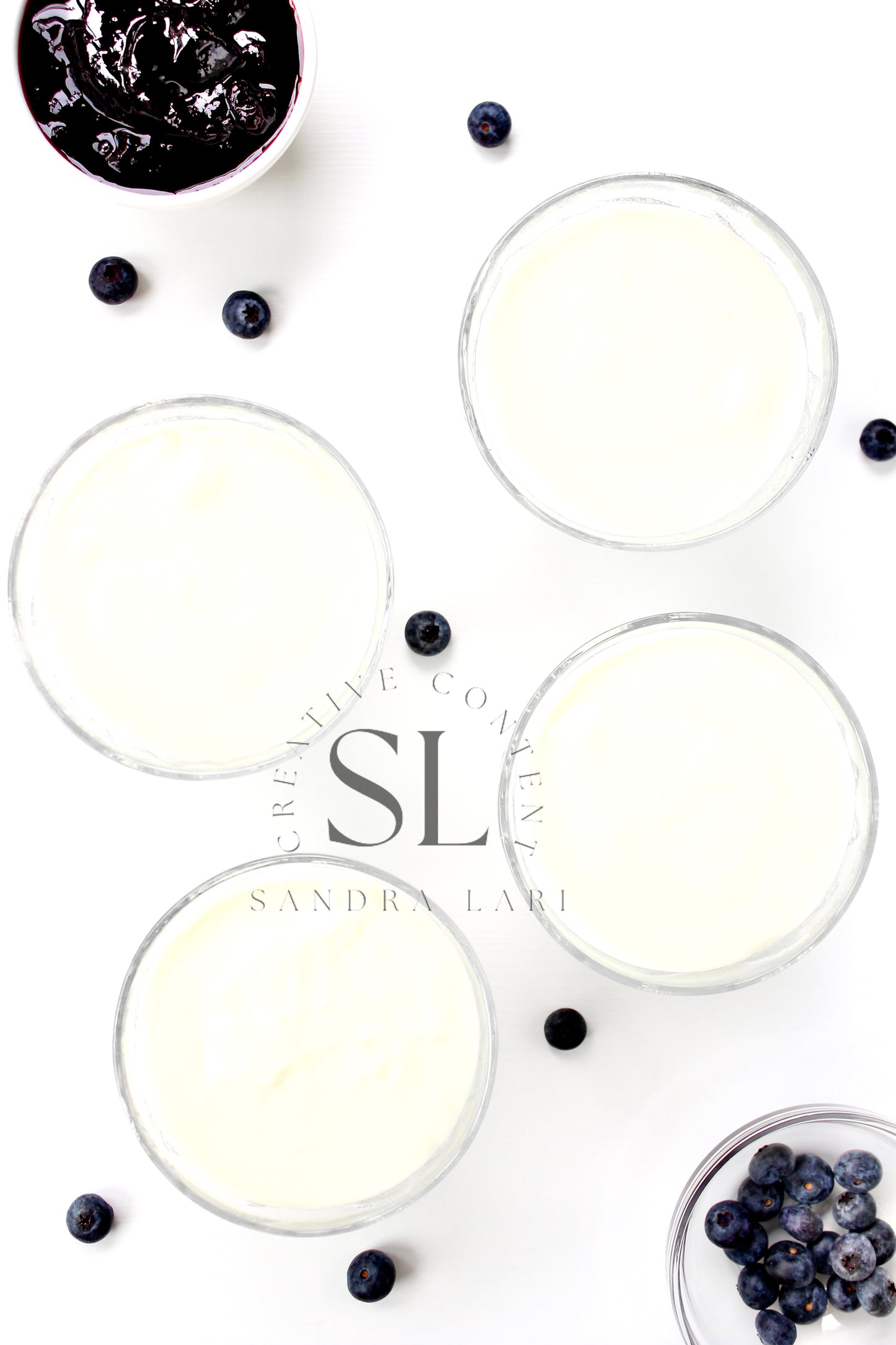 Healthy Blueberry Pudding Dessert - Exclusive