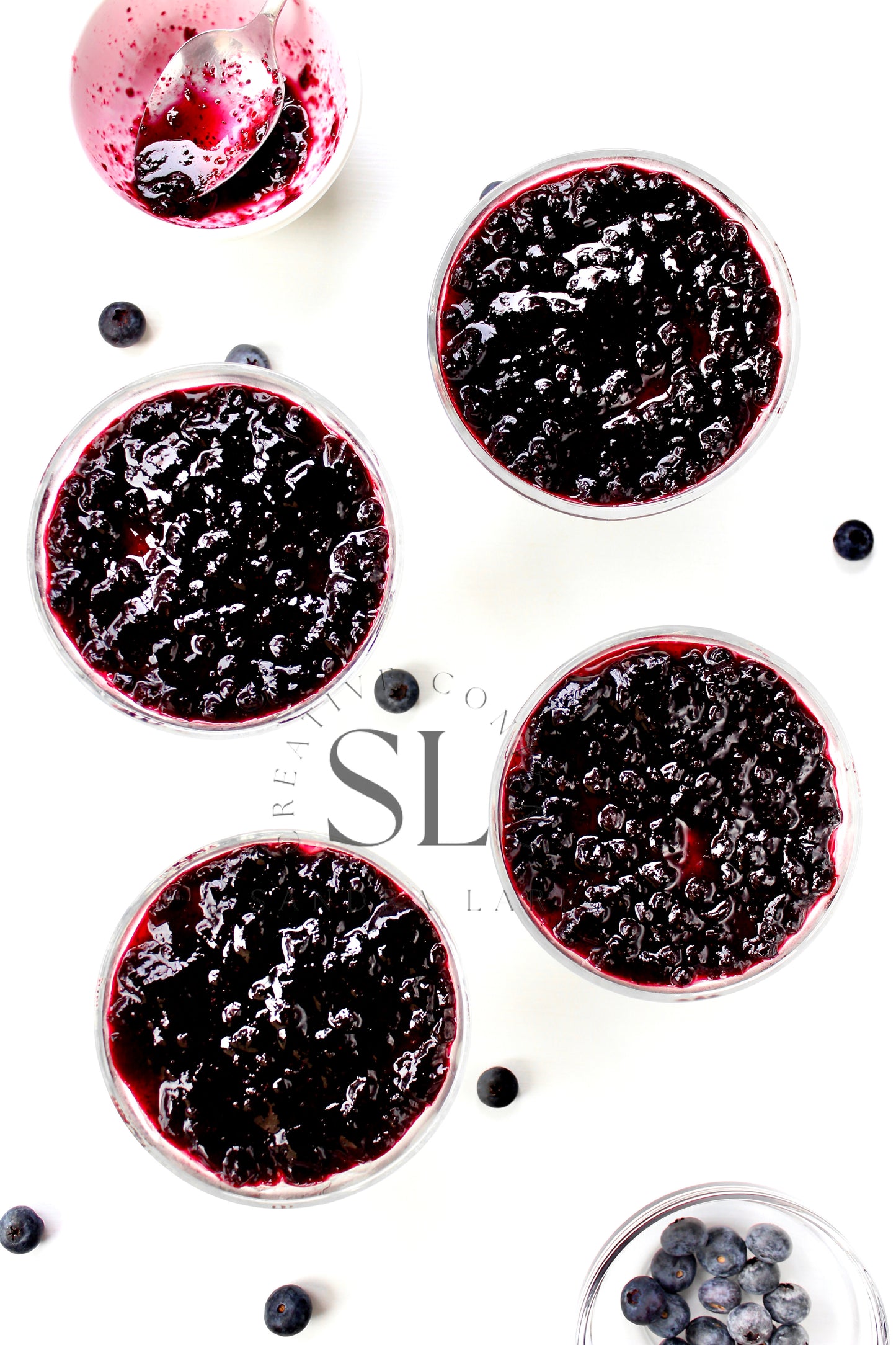 Healthy Blueberry Pudding Dessert - Exclusive