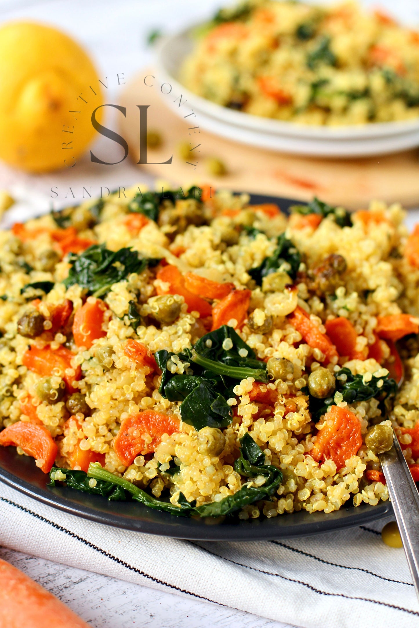 Vegan Roasted Veggies Quinoa Salad with Spinach - Set 3 of 3
